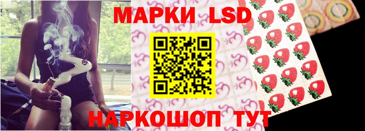 Новозыбков  Лсд 25 экстази ecstasy  МЕГА как зайти  Лсд 25 экстази кислота  Вход с VPN 
