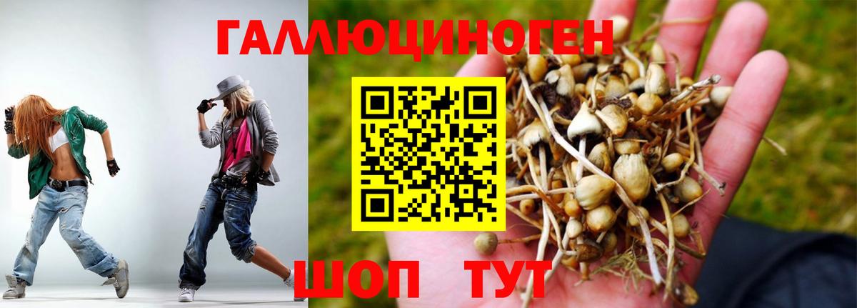 цены   Вход с VPN  Новозыбков  Псилоцибиновые грибы Cubensis 